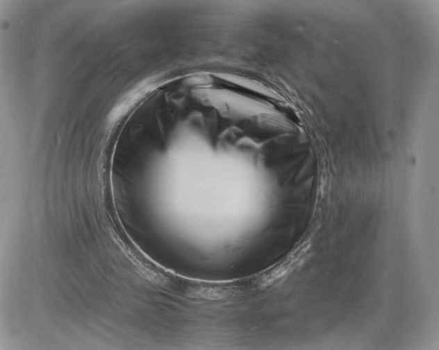 X0000081430341200701261828