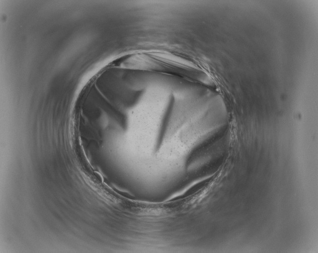 X0000081430342200701261828