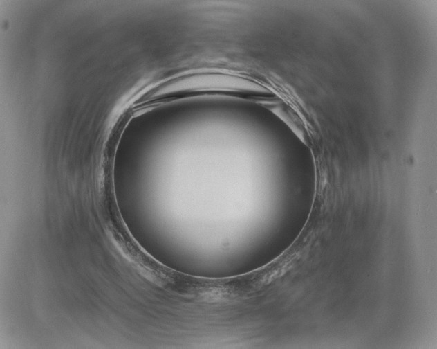 X0000081430344200701261828