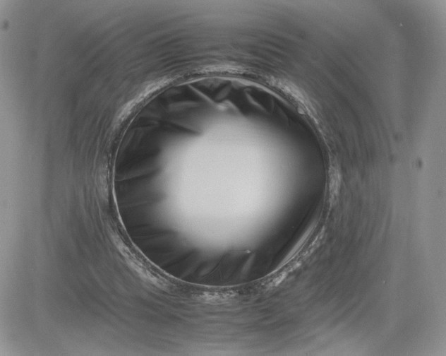 X0000081430345200701261828