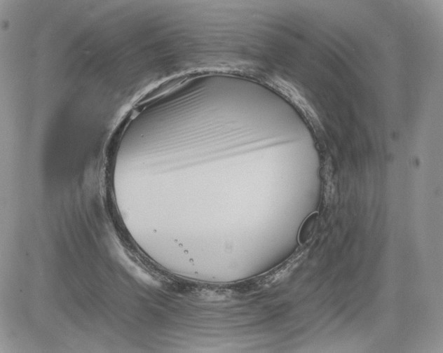 X0000081430346200701261828