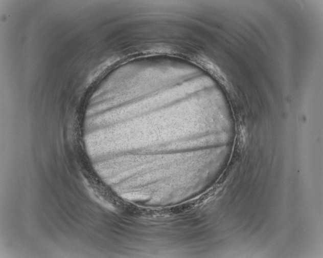 X0000081430347200701261828