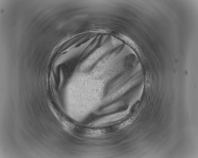 X0000081430349200701261828