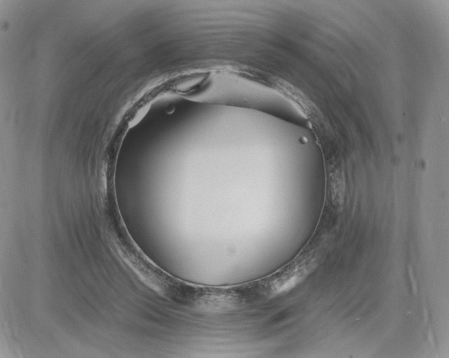 X0000081430350200701261828