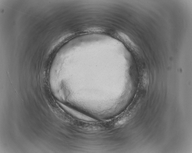 X0000081430351200701261828