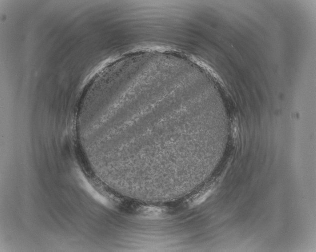 X0000081430352200701261828