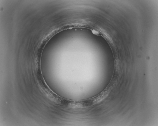 X0000081430354200701261828