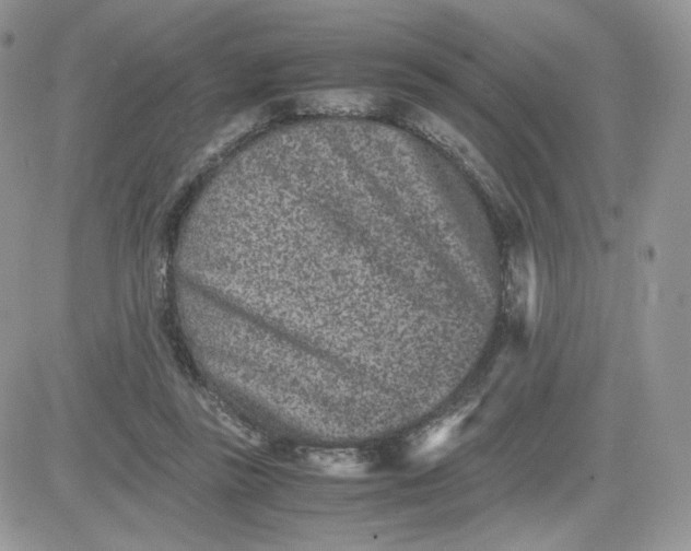 X0000081430355200701261828