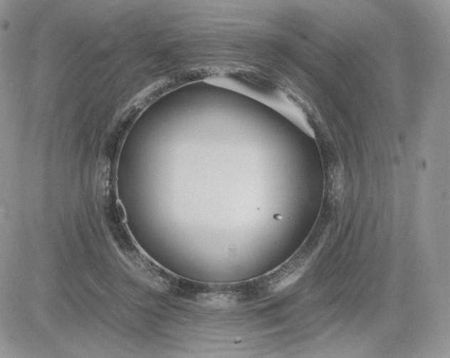 X0000081430356200701261828