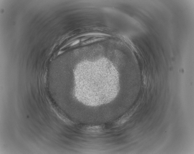 X0000081430357200701261828