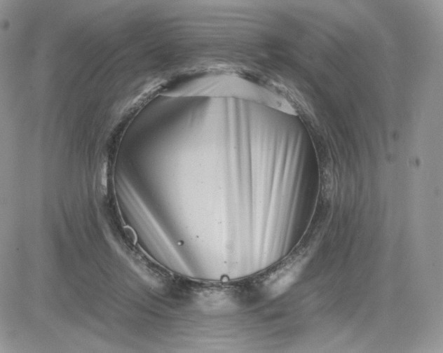 X0000081430358200701261828