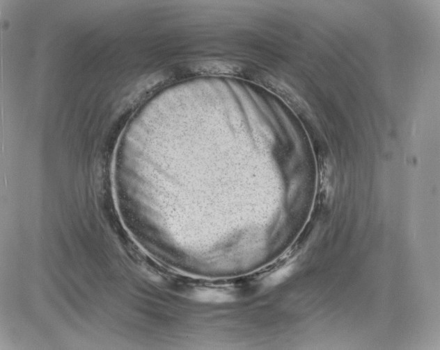 X0000081430359200701261828