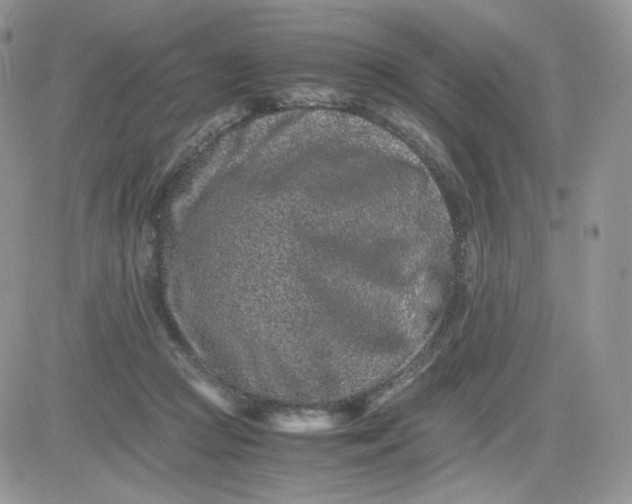 X0000081430361200701261828