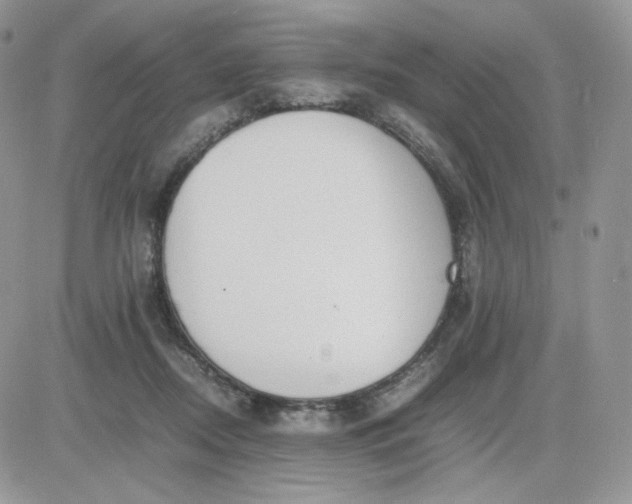 X0000081430362200701261828