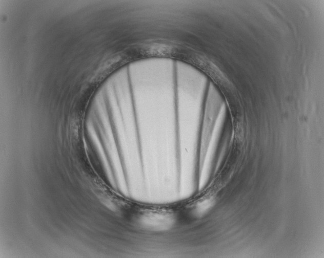 X0000081430363200701261828