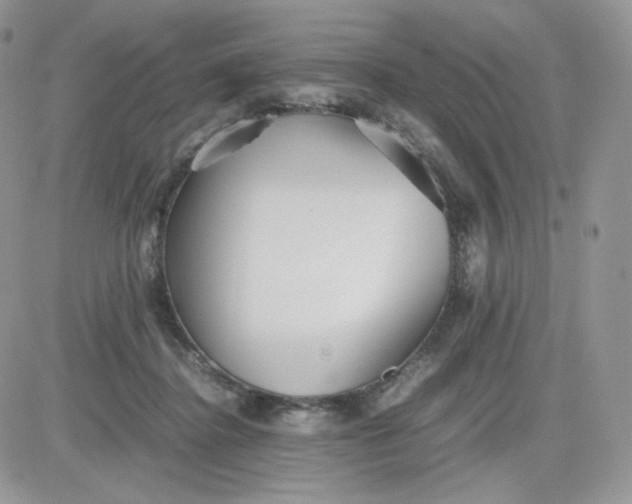 X0000081430364200701261828