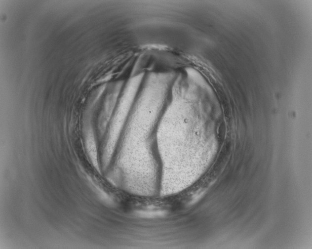 X0000081430365200701261828