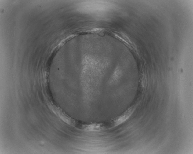 X0000081430366200701261828