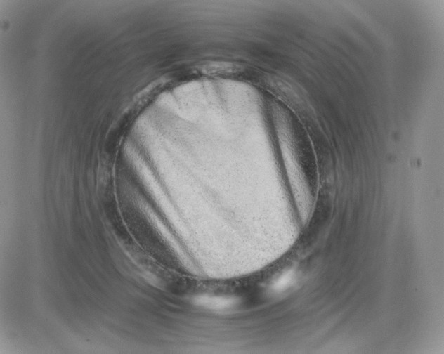 X0000081430367200701261828