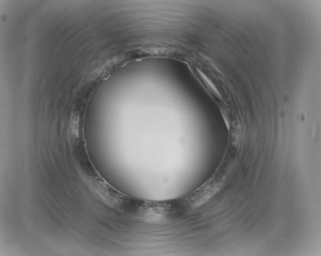 X0000081430368200701261828