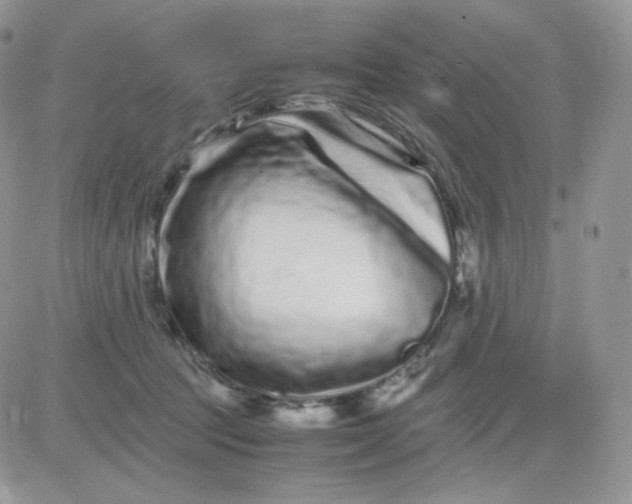 X0000081430369200701261828