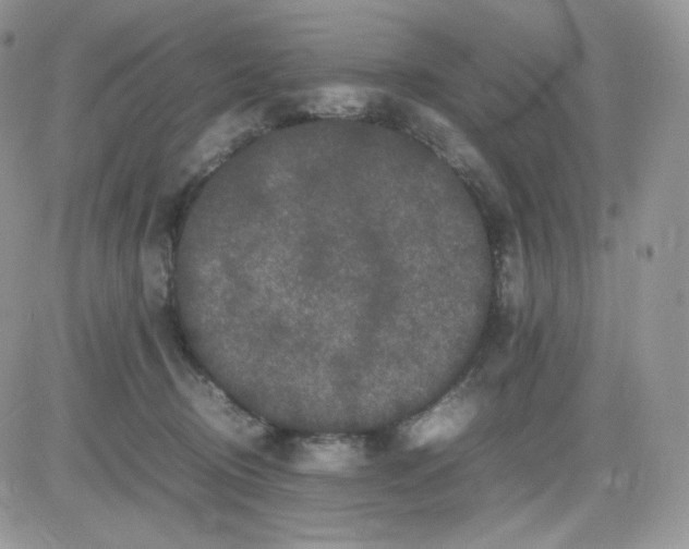 X0000081430370200701261828