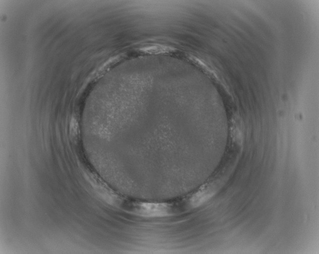 X0000081430371200701261828