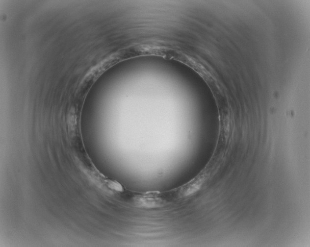 X0000081430372200701261828