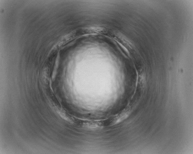 X0000081430373200701261828