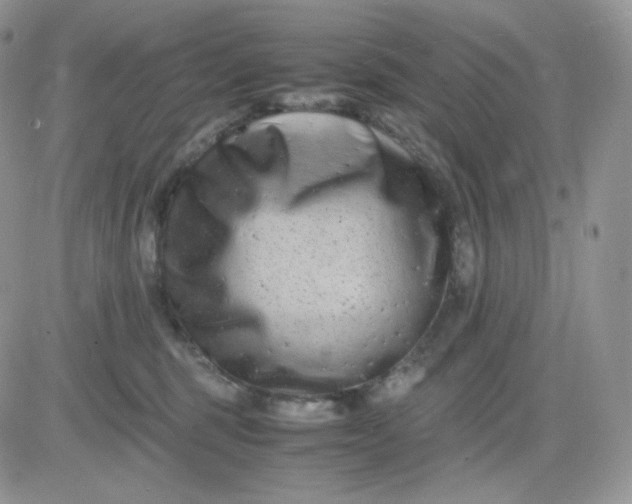 X0000081430375200701261828