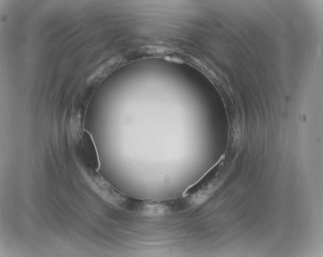 X0000081430376200701261829