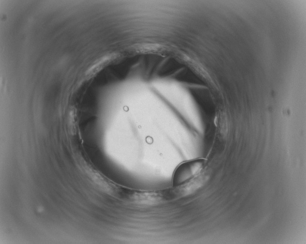 X0000081430378200701261829