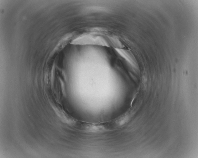 X0000081430379200701261829