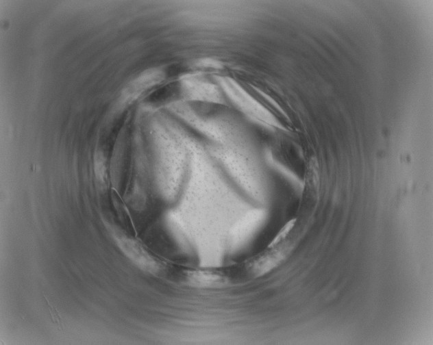 X0000081430380200701261829