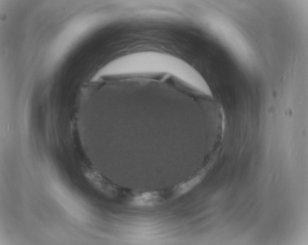 X0000081430382200701261829