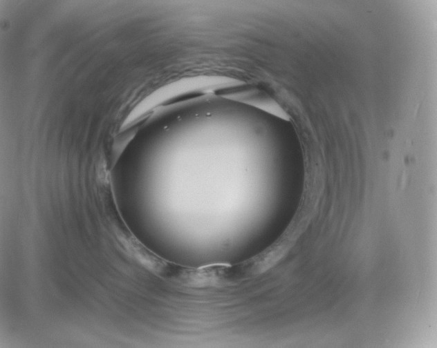 X0000081430384200701261829