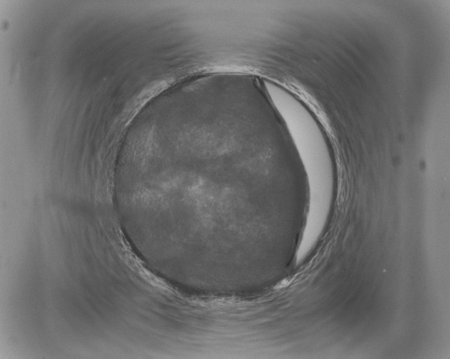 X0000081430385200701261828