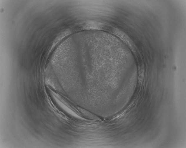 X0000081430386200701261828