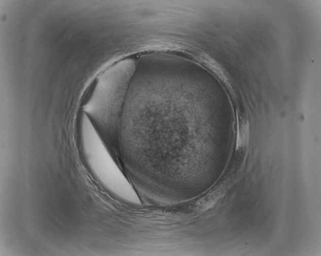 X0000081430387200701261828