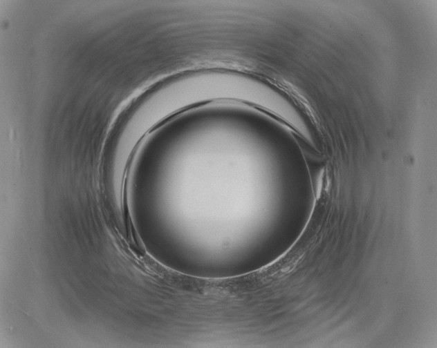 X0000081430388200701261828