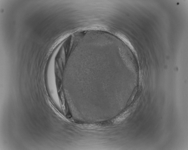 X0000081430389200701261828