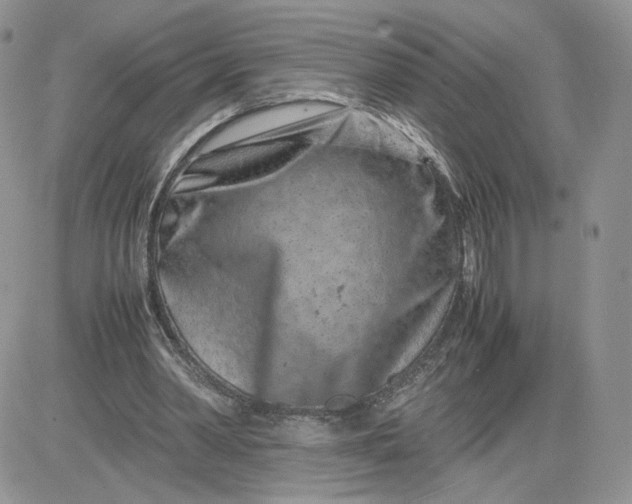 X0000081430390200701261828