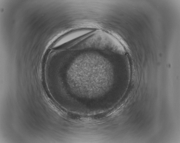 X0000081430391200701261828