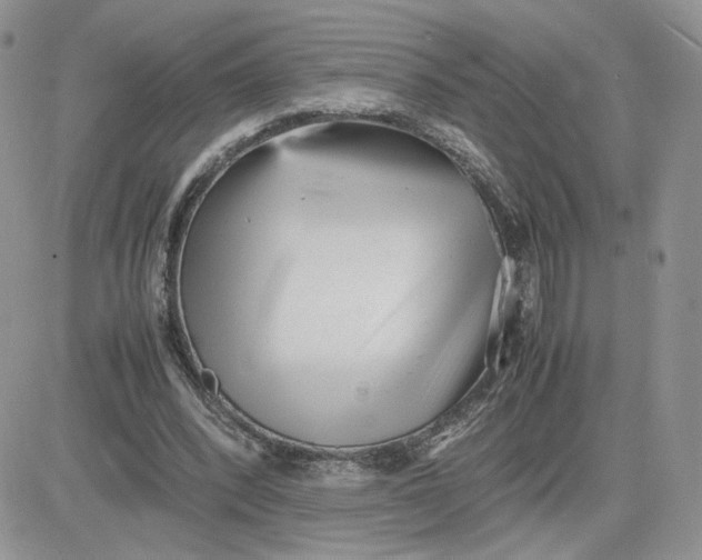 X0000081430392200701261828