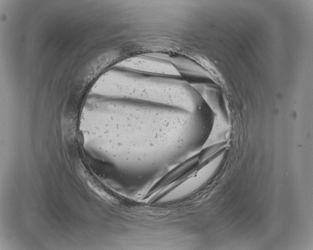 X0000081430393200701261828