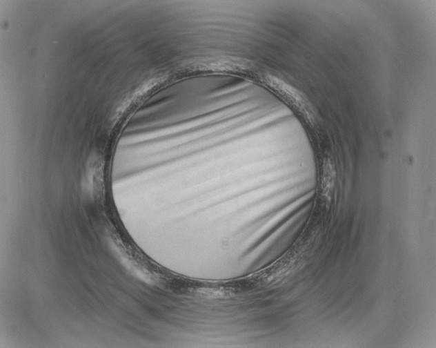 X0000081430394200701261828