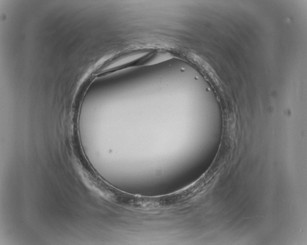 X0000081430395200701261828