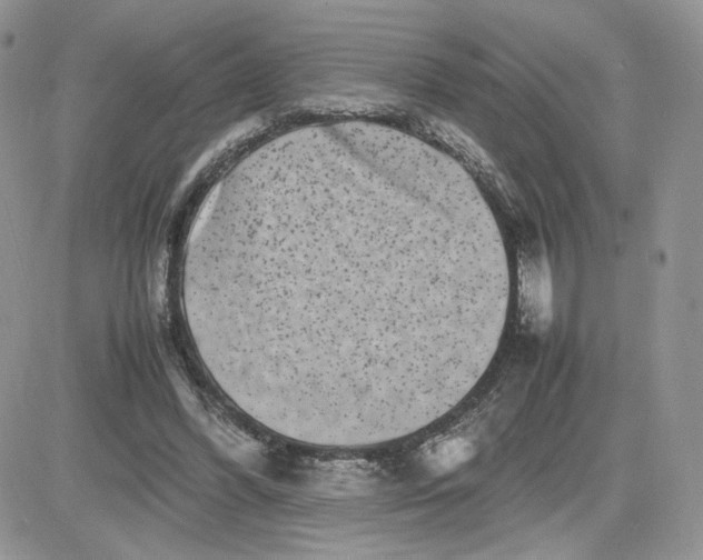 X0000081430396200701261828