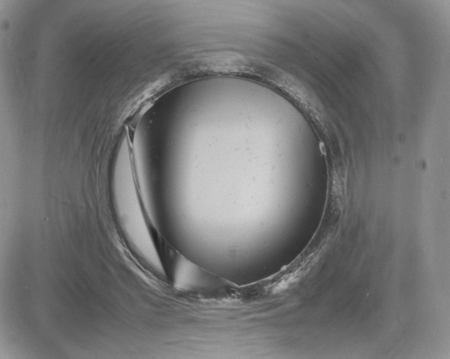 X0000081430397200701261828