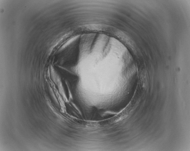 X0000081430398200701261828